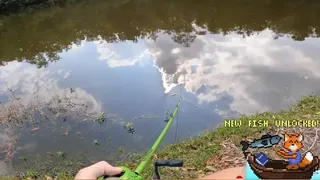 Скриншот 6 к игре My Fishing Desktop