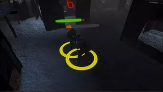 Singularity Divide