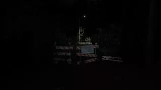 Darkness in the Forest
