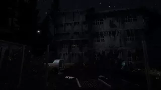 Darkness in the Forest