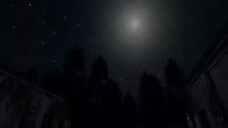Darkness in the Forest