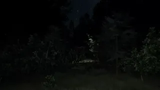 Скриншот 8 к игре Darkness in the Forest
