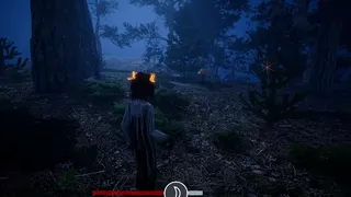 Veil : Black Blood