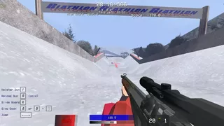 Biathlon Challenge