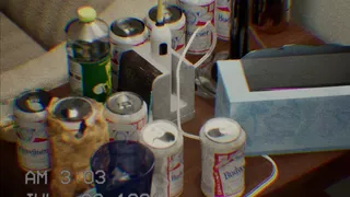 Virtual Crime Scene - Apartment 213