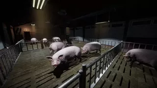Porcine Parasite