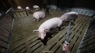 Скриншот 5 к игре Porcine Parasite