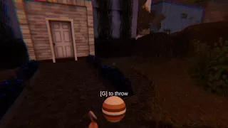 Cursed Digilens