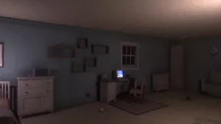 Owl Lights