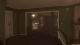 Owl Lights