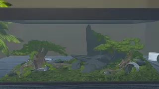 Ant Simulator