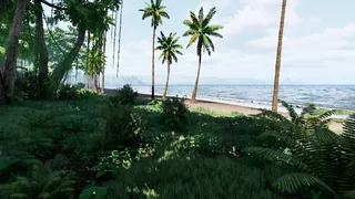 Mesorift Survival