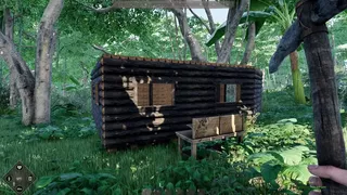 Mesorift Survival