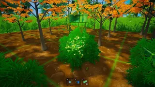My Money Grows On Trees