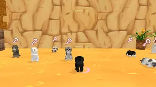 Скриншот 6 к игре My Little Kitty