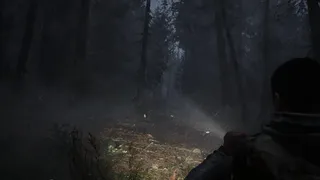 Whispers in the fog