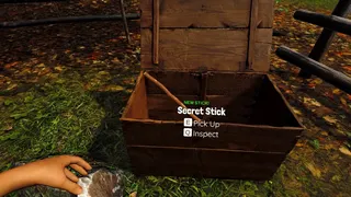 Finding Cool Sticks
