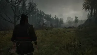 Скриншот 6 к игре The Blood of Dawnwalker