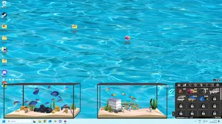Window Aquarista