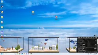 Window Aquarista