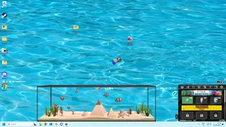 Window Aquarista