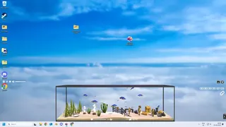 Window Aquarista
