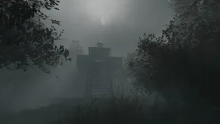 Whispering Fog