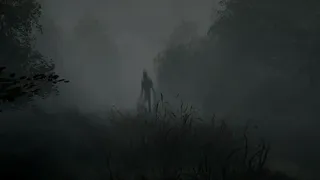 Whispering Fog