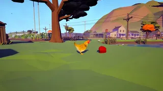 Farm Chicken