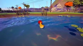 Farm Chicken