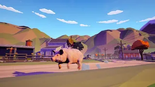 Farm Chicken