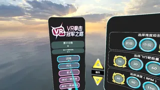 ​VR拳击：冠军之路