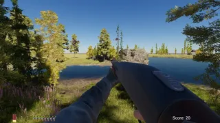 Duck Blitz