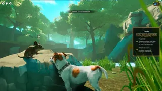 Toto's Journey
