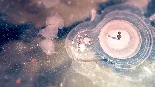 Скриншот 5 к игре North Shore