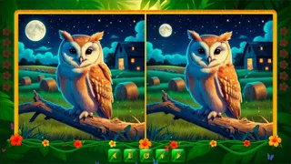 Скриншот 5 к игре BirdQuest  Find the Difference