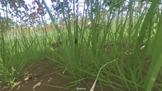 Скриншот 5 к игре Grow Wild