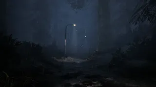 Netherwake