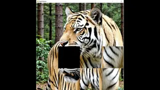 Скриншот 5 к игре hgmGame-tiger