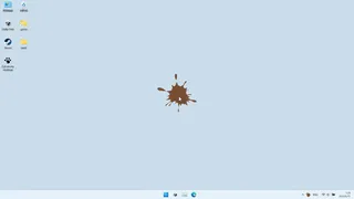 Cockroach!