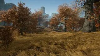 逆仙