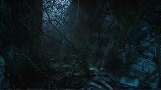The Strange Lights