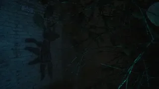 The Strange Lights