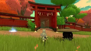 Nezori