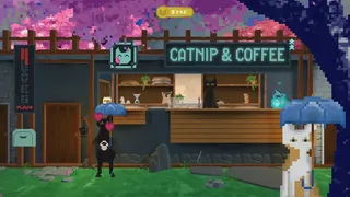 Catnip & Coffee