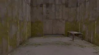 Madman's Maze