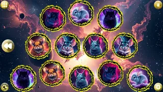 Скриншот 5 к игре Space Memory: Chinchillas