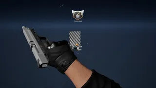 Gunjutsu