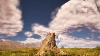 Stump Simulator 2