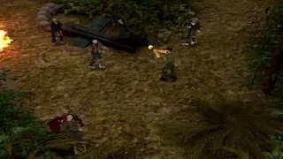 Jungle Rot